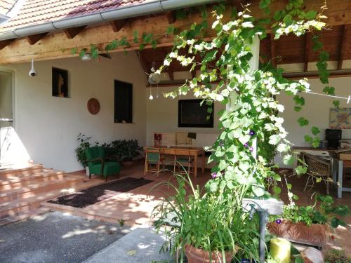 Anna's Cosy Apartment in Illmitz, Österreich
