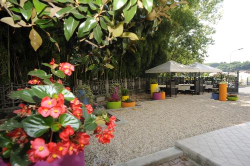 Garden, Affittacamere Stazione Valmontone in Valmontone