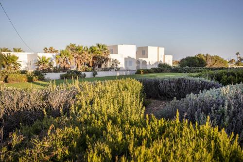 Baiser du Soleil à Paros - Mikri Santa Maria gîte à louer Santa Maria