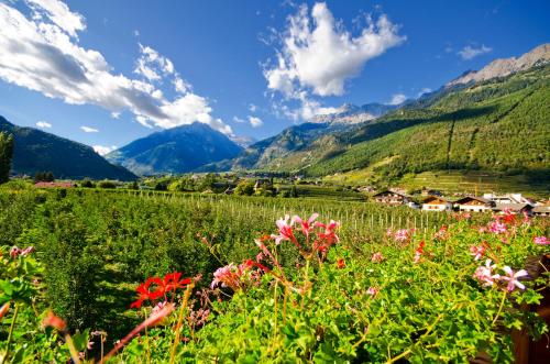  Grieserhof Algund in Algund