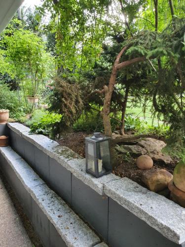 花園, Ferienwohnung Sautter in 博伊倫
