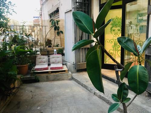 ne mia, Palermo (zdjęcie 4)