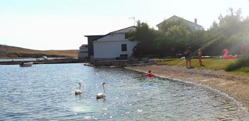  Apartment Milka in Dinjiška