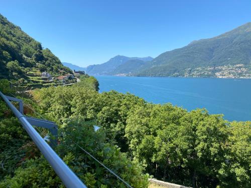 One-Bedroom Apartment 15 with Lake View