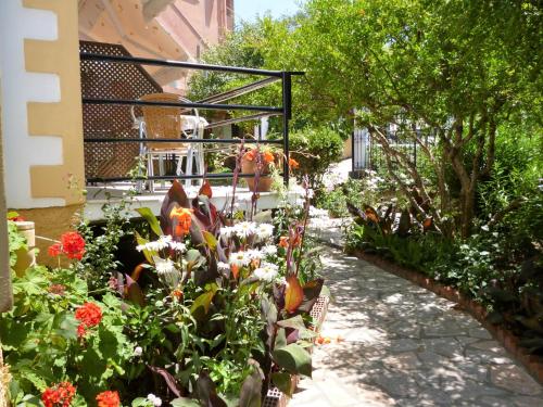 Kostas studios, Agios Georgios Pagon (fotografie 5)