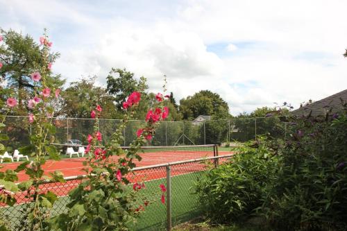 Familiehuis De Betuwe met prive kunstgras tennisbaan en sauna