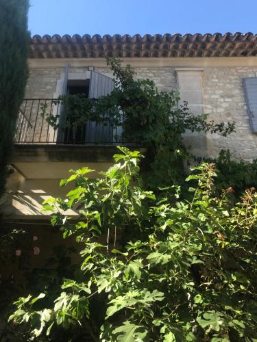Le mas jasmins – Menerbes, UT