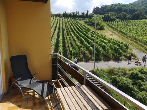 Ferienwohnung "Weinbergblick" im Winzerdorf in Leinsweiler