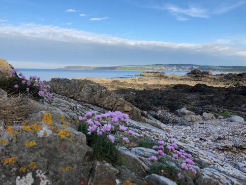 Ceol na Mara cottage Scar Nose