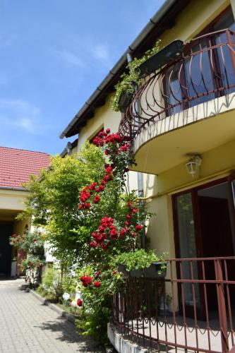 绿屋旅馆 绿屋旅馆