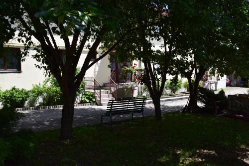 Pension GreenHouse - image 11
