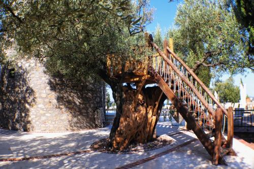 Geranion Village - image 14