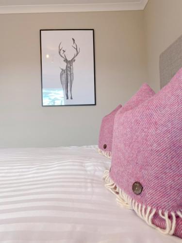 Cairngorm Guest House - image 3
