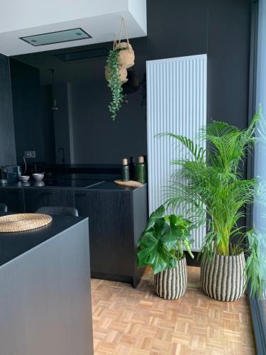 zwarte gracht gîte à louer Gand