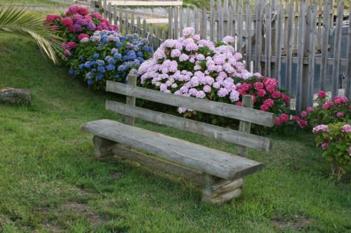 Paraje del Asturcon - Adults only Paraje del Asturcon - Adults only