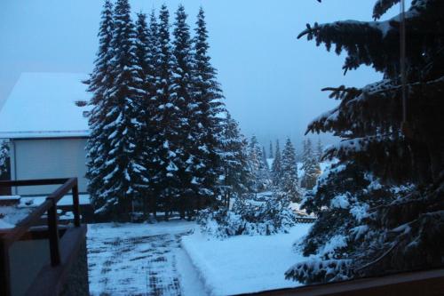 Ferienwohnungen Kolsdorf A 257m von Ev. Trinitatiskirche entfernt