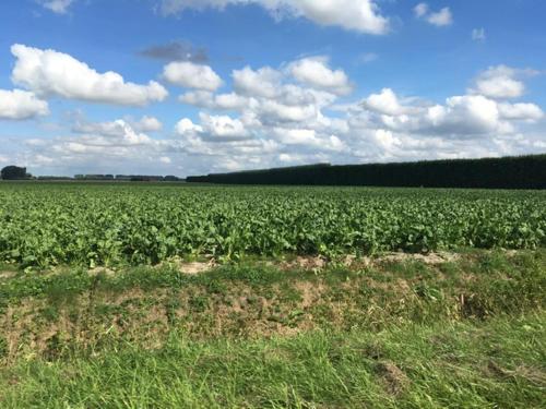 Pand 33 Aardenburg