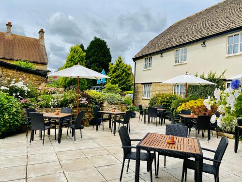 The Old Pheasant - image 4