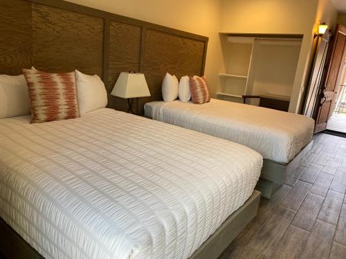 2 queen beds