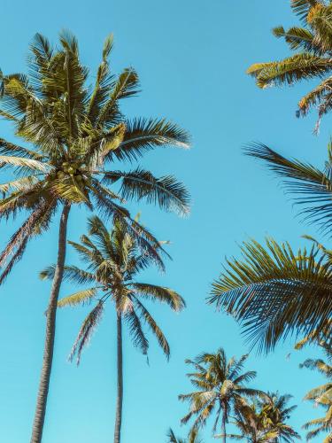 Outrigger Mauritius Beach Resort