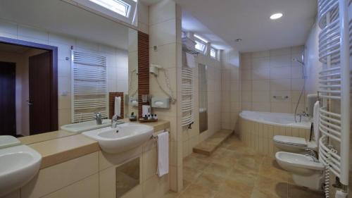 Wellness Hotel Gyula - image 10