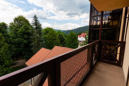 Edelweiss - image 7