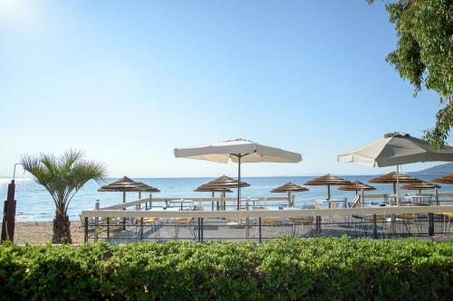 Seasabelle Hotel near Athens Airport - image 14
