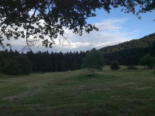  Kuća za odmor "Jasna" (Holiday home "Jasna") in Crni Lug