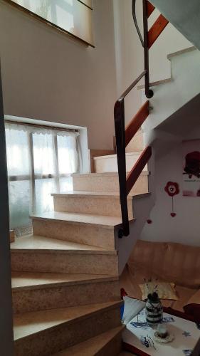 Apartments Eva - image 6