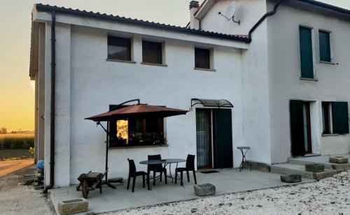  Nella natura del parco dei Colli Euganei in Cinto Euganeo