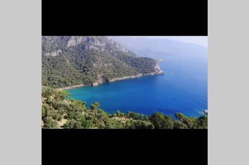 Kabak Apart