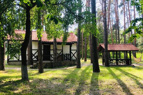 Фотография номера гостиницы Селена