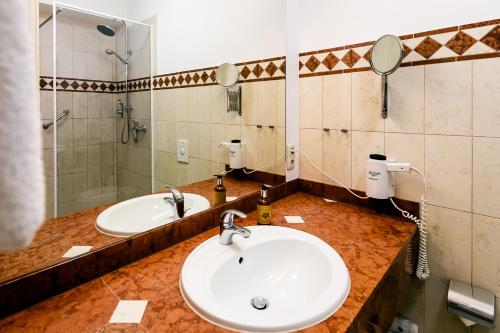 Hotel STEIGER Sebnitzer Hof - Adults Only - image 6