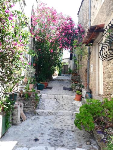 La Plenitude - Location saisonnière - Cagnes-sur-Mer