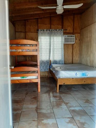 Villa Jonima - image 3