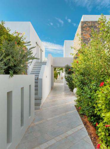 Garden, The Island Hotel - Adults Only - in Gouves