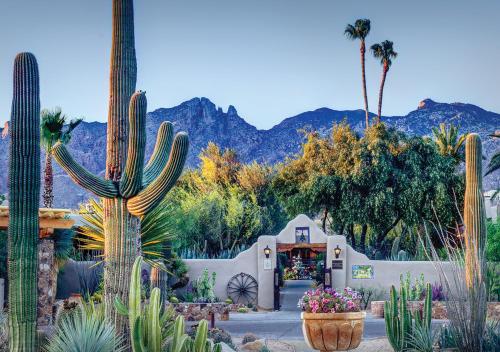Hacienda del Sol Guest Ranch Resort - Accommodation - Tucson