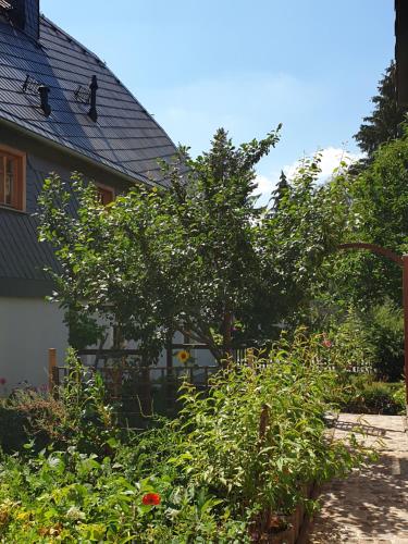Viesnīcas āriene, Ökologische Ferienwohnung Becker (Okologische Ferienwohnung Becker) in Ebersbach Sachsen