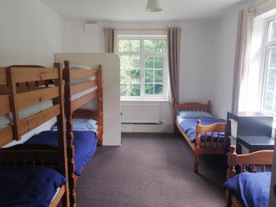 Kings - image 5
