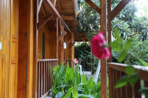 花園, Duran Bungalow in 阿德拉桑