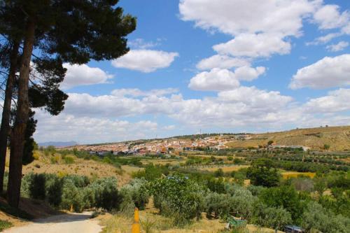 CASA CUEVA PIENA, Alcudia de Guadix