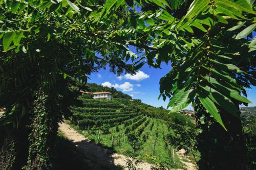Cascina Flino in 迪亞諾達爾巴
