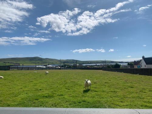 Seaview Heights - image 11