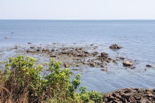 Sea Salt in Plymouth, USA