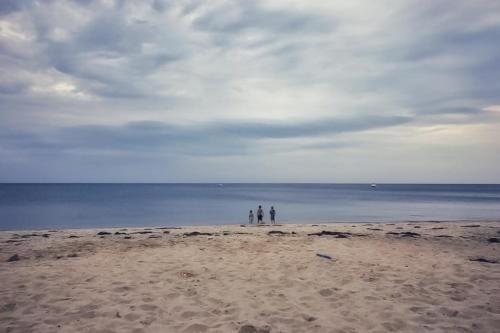 Sea Salt in Plymouth, USA