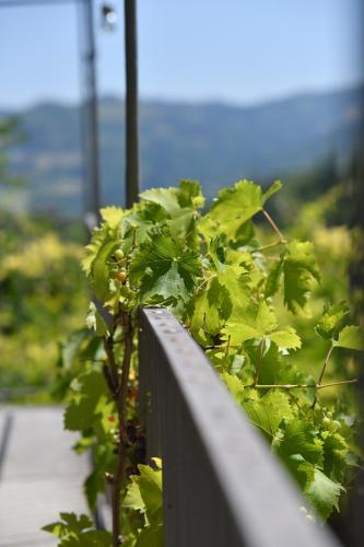 陽台/露台, Cascina Flino in 迪亞諾達爾巴