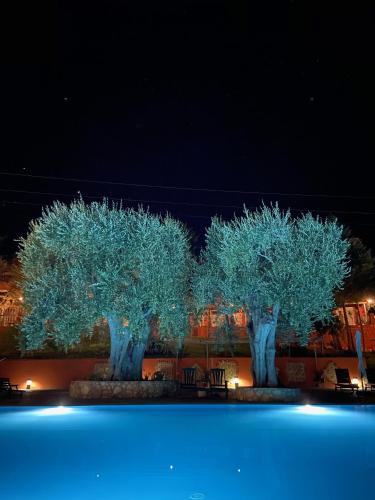 Hotelpension Resort Poggio degli Ulivi, Unterkunft in Rodi Garganico