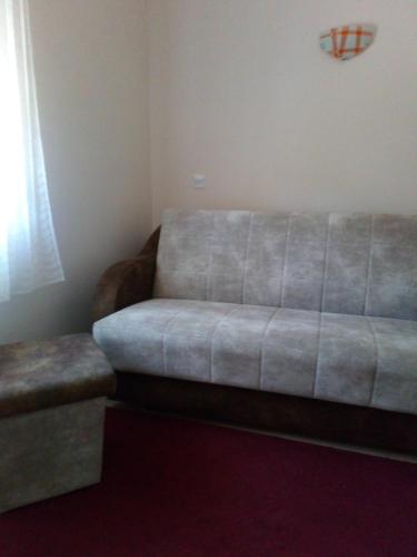 Guest House Green view