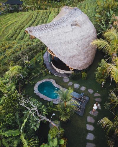 Veluvana Bali Room Type - Owl 