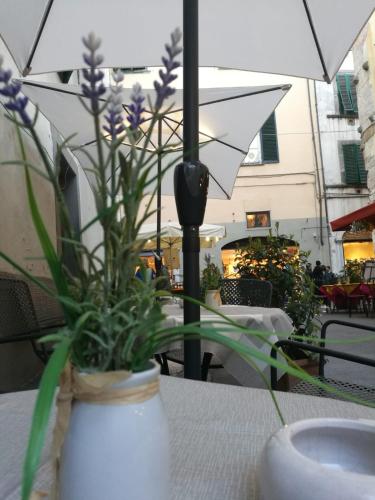 Hotel La Luna - image 3